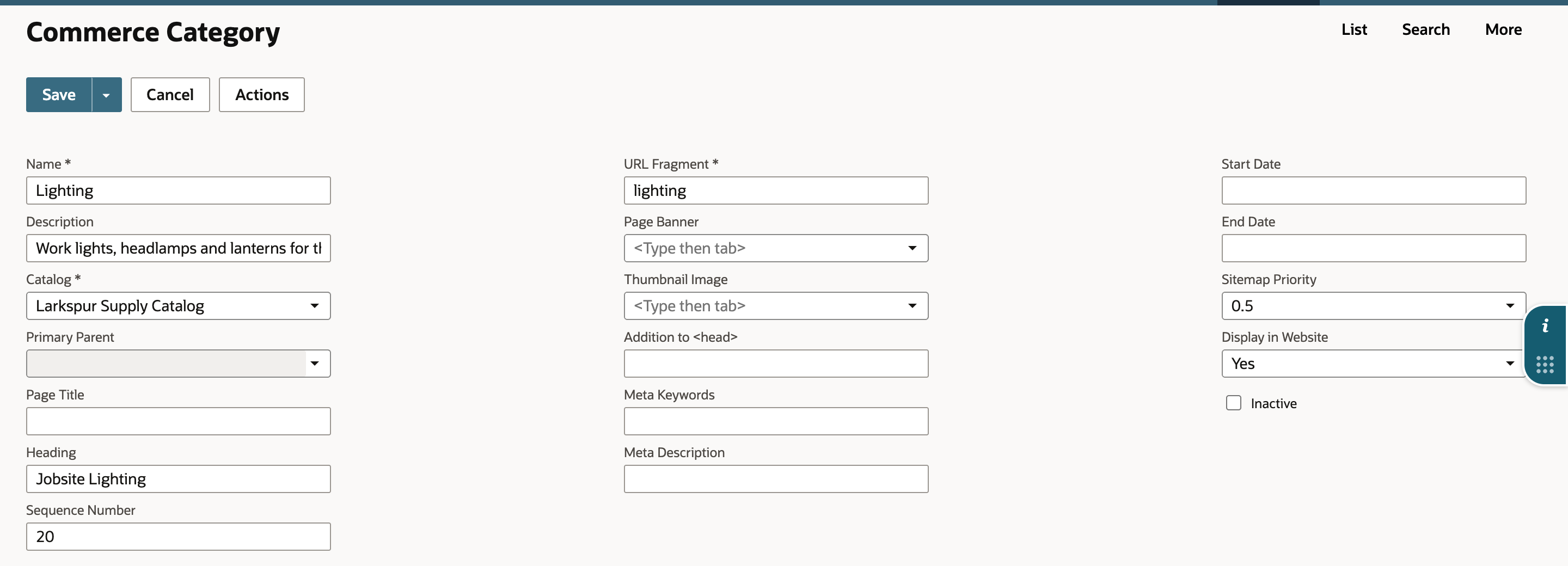 The Lighting category in edit mode with Display in Website set to Yes, next to Heading Jobsite Lighting and Sequence Number 20.