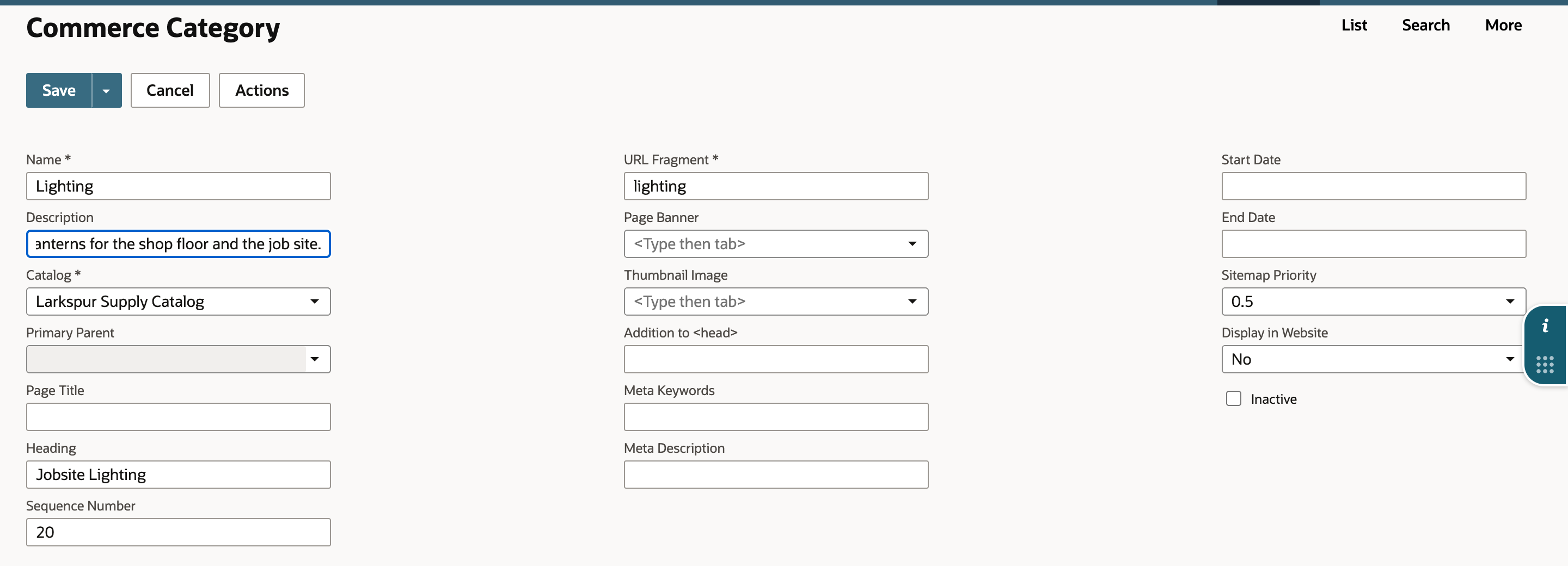 The Lighting category in edit mode with Heading Jobsite Lighting, the Description field holding the new text, and Display in Website still No.