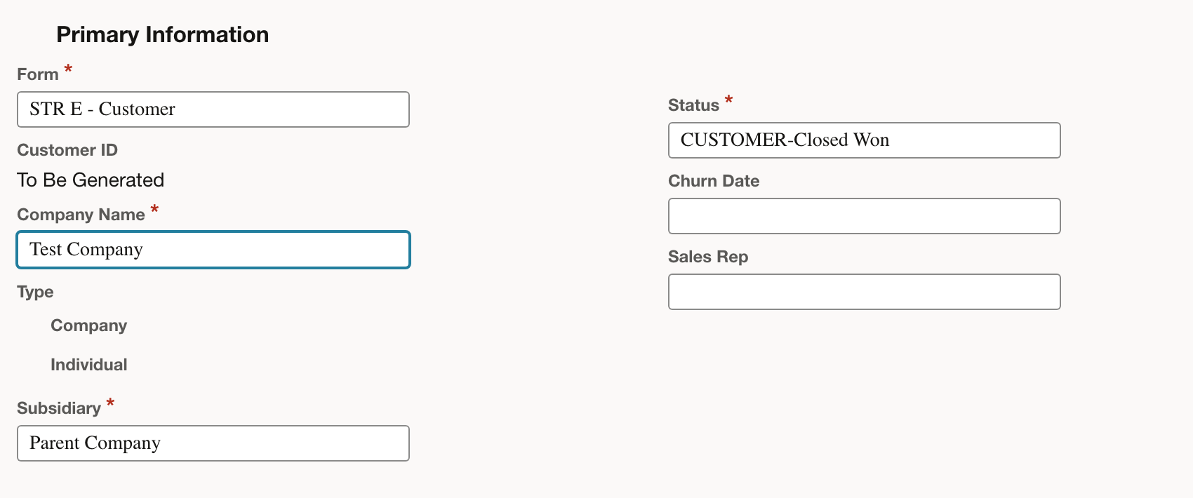 NetSuite: Enter the company name on the new customer form.