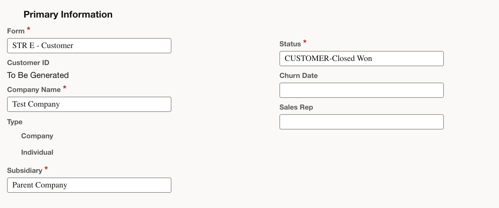 NetSuite: Check the customer’s status and subsidiary before saving.