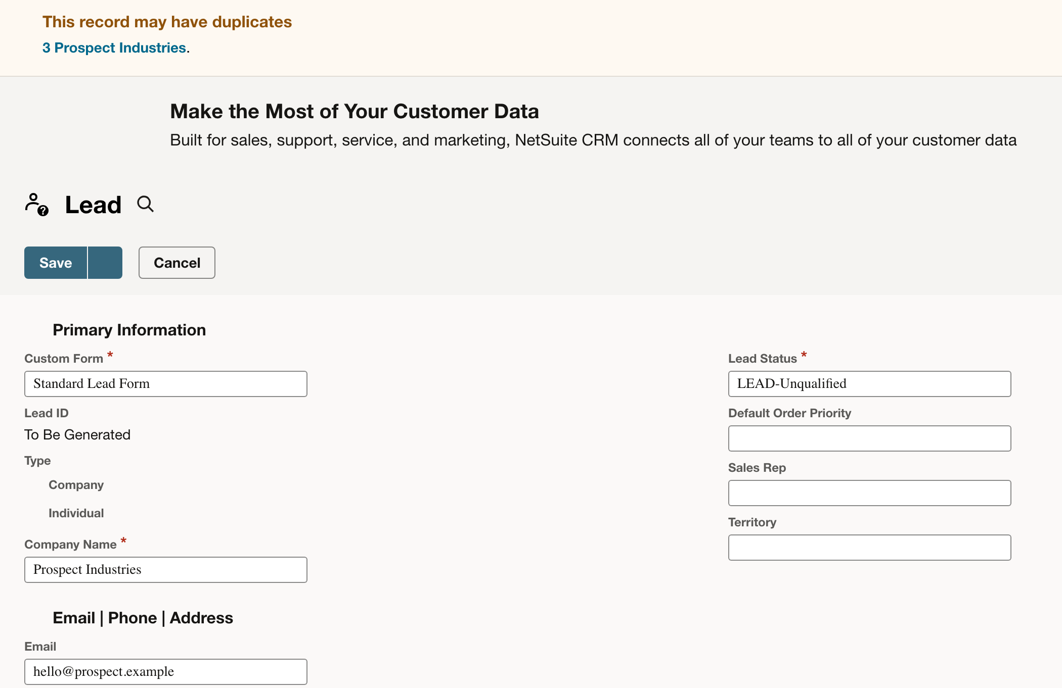 The company and email are populated; review the duplicate warning before saving.