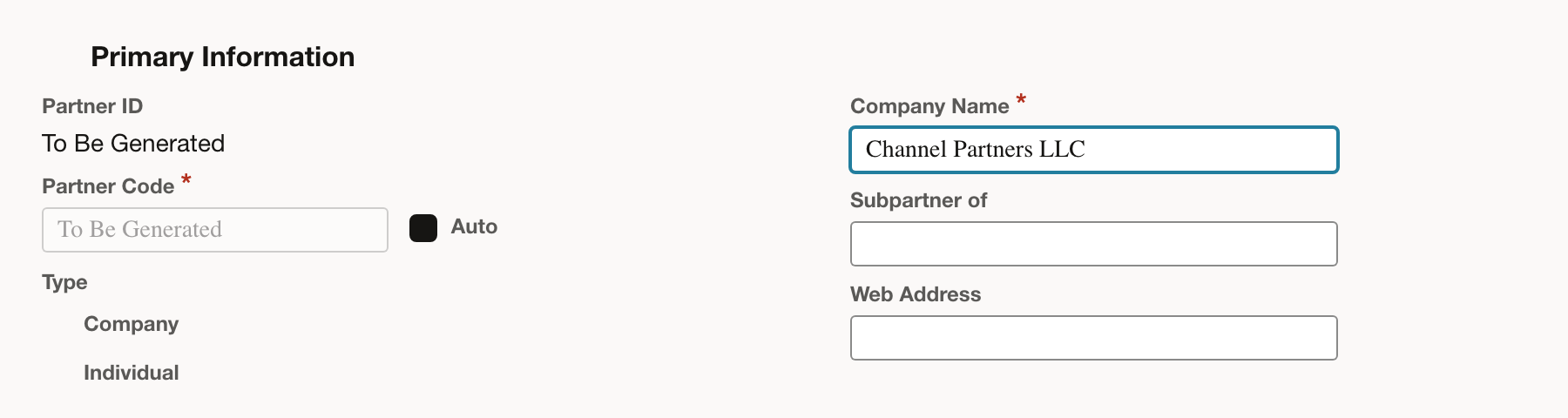 The company name is entered on the Partner form.