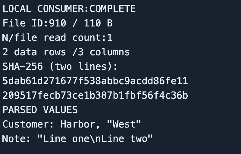 Completed local file 910 has 110 B and preserves parsed values. Full image includes raw CSV.