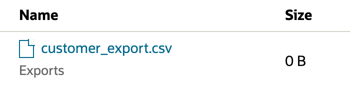 Existing local customer_export.csv starts at 0 B. Enlarge to verify destination file 910.