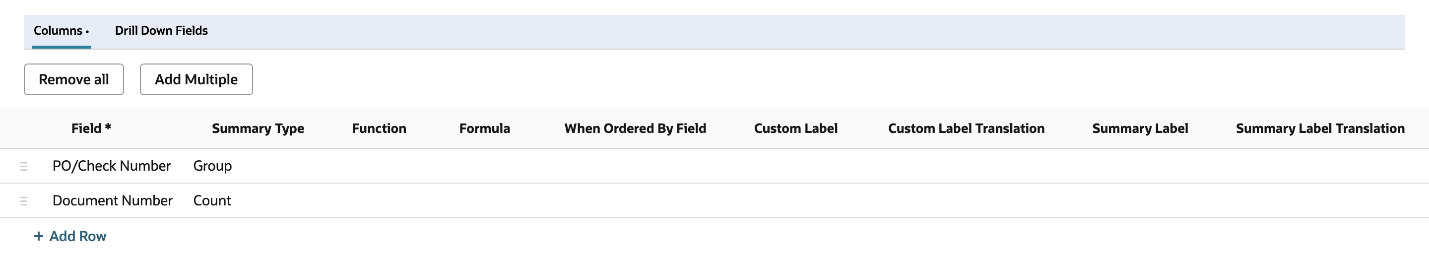 Results Columns subtab with two rows: PO/Check Number with Summary Type Group and Document Number with Summary Type Count