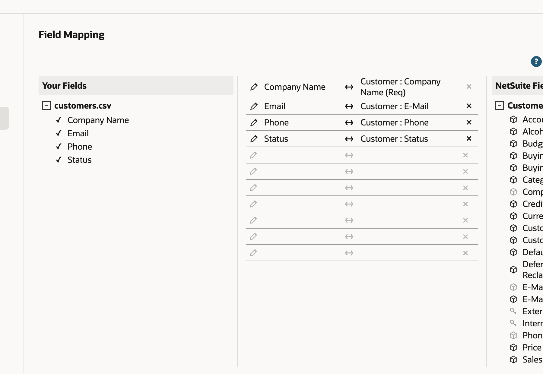Import Assistant field mapping for customer records