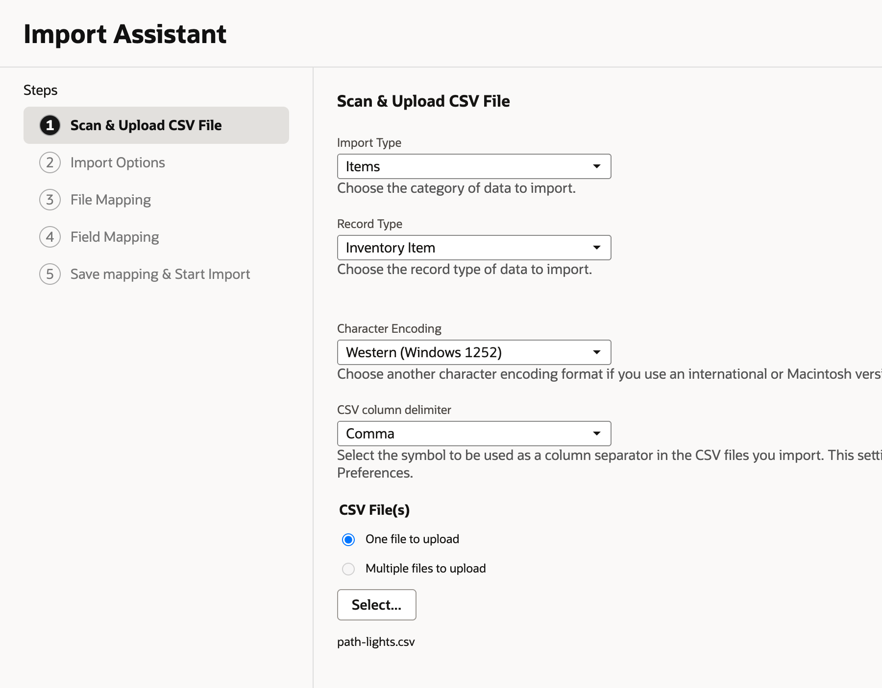 Scan and Upload CSV File with Import Type Items, Record Type Inventory Item, Character Encoding Western (Windows 1252), CSV column delimiter Comma and the file path-lights.csv selected.