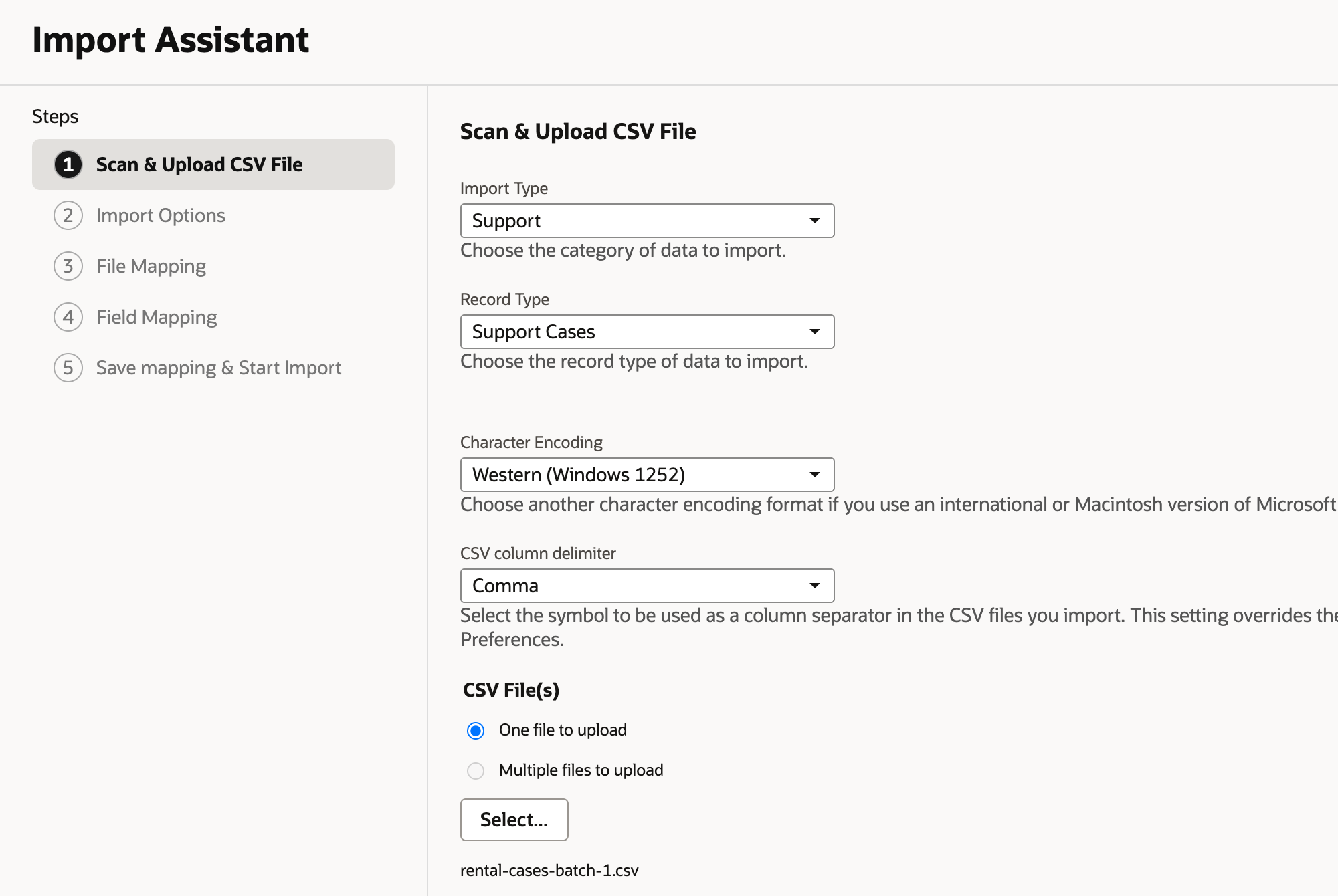 Import Assistant Scan & Upload CSV File step with Import Type Support, Record Type Support Cases, Comma delimiter, One file to upload, and rental-cases-batch-1.csv selected