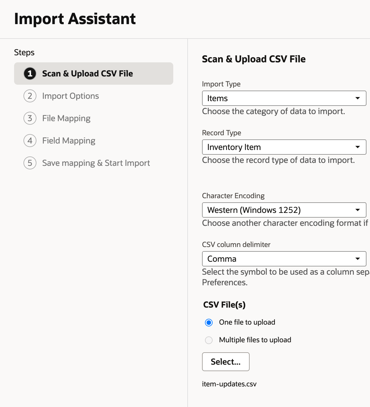 Import Assistant step 1 with Import Type Items, Record Type Inventory Item and item-updates.csv selected.